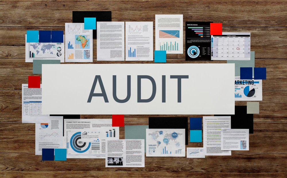 Audit and Assurance: Why are businesses mandatory?
